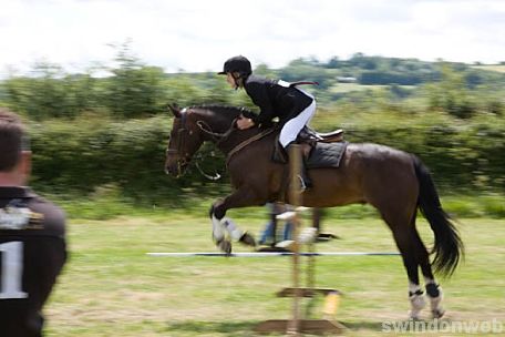 Wanborough Horse and Dog show